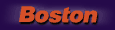 boston�i�{�X�g���@�A�R�[�X�e�B�b�N�j