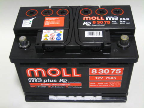 MOLL　83075